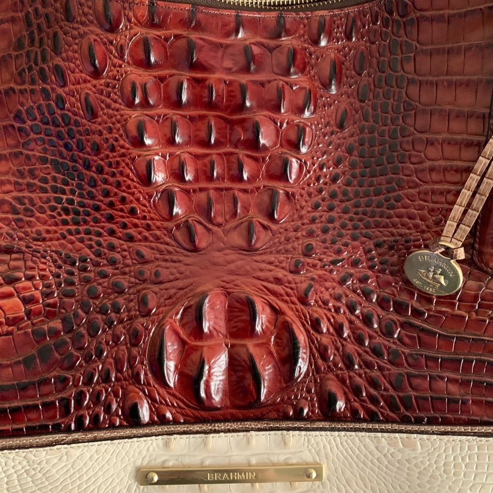 Large Brahmin Handbag